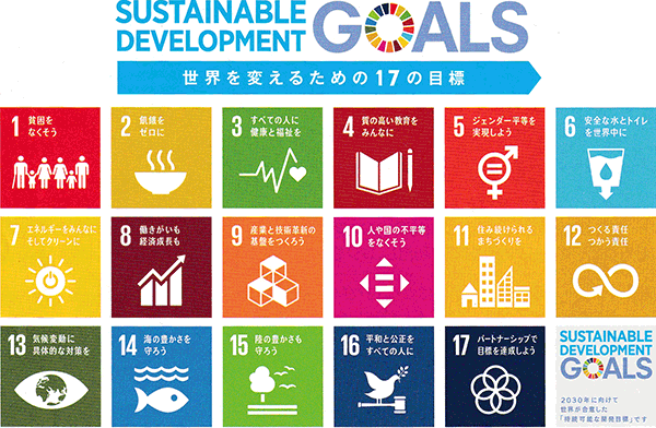SDGsって結局何なんですか？