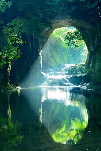 【心の癒し】自然を愛でるトピ