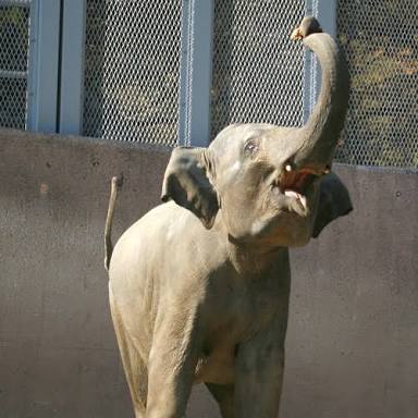 40歳とは思えない…元祖お騒がせセレブ「パリス・ヒルトン」の美しすぎる“最新ビキニ姿”に驚きの声！