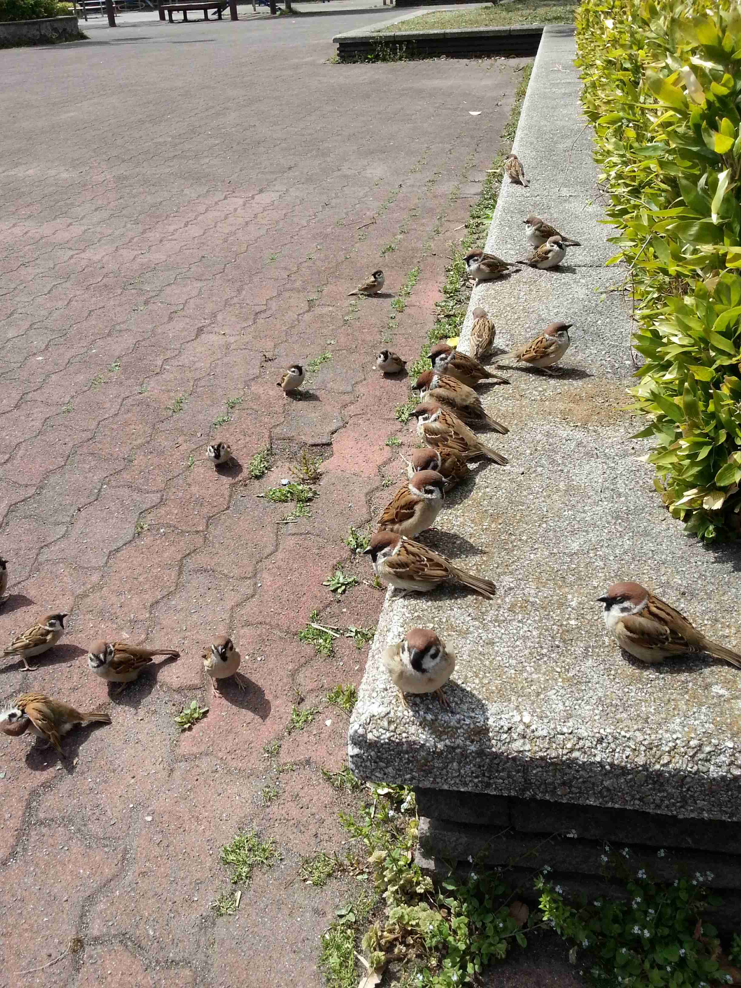 友達の彼氏に会いますか？