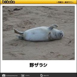 誰か私を笑わせてくださいpart3