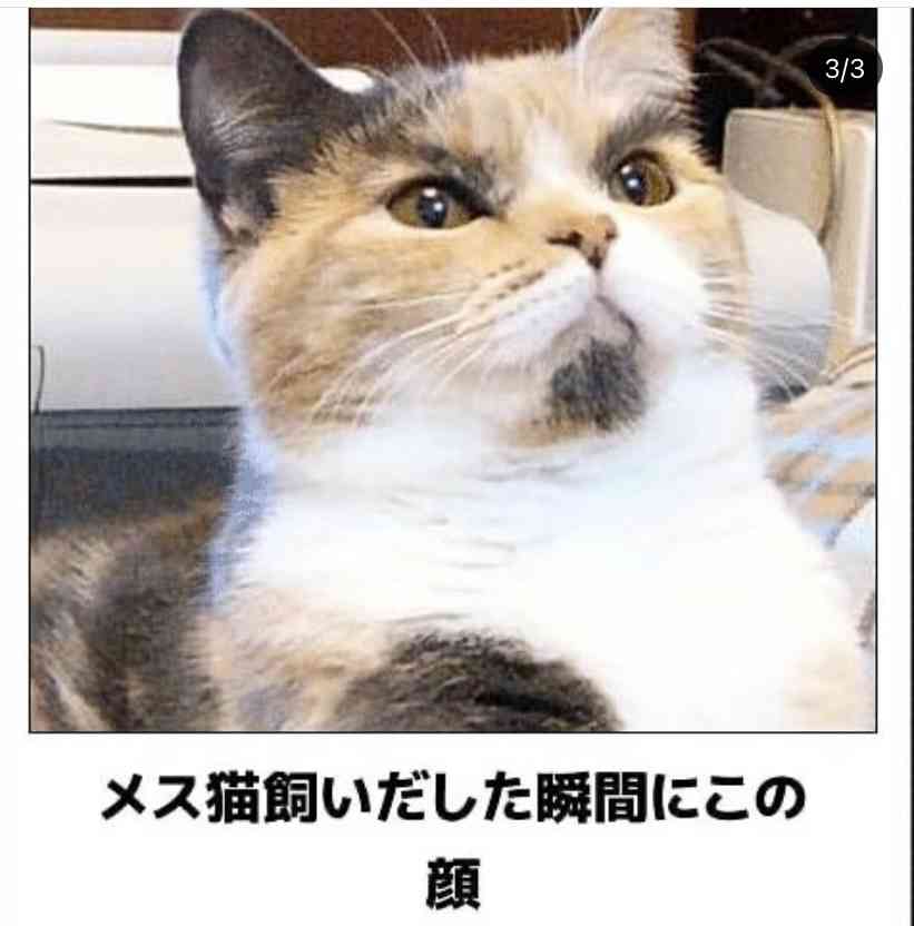 誰か私を笑わせてくださいpart3