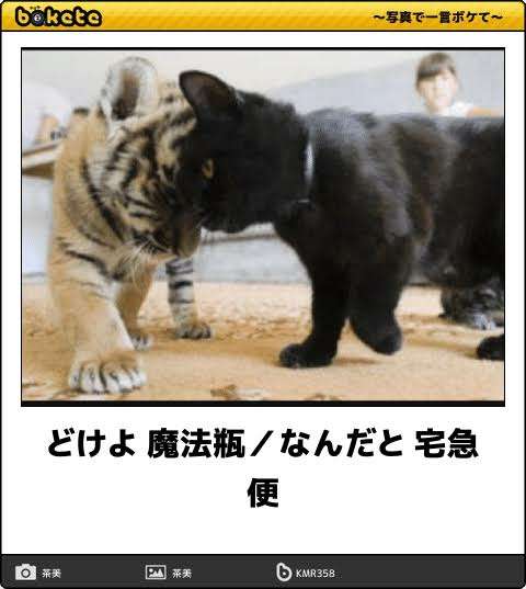 誰か私を笑わせてくださいpart3