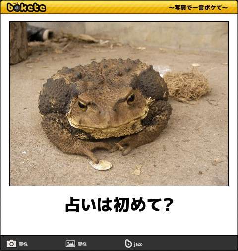 誰か私を笑わせてくださいpart3