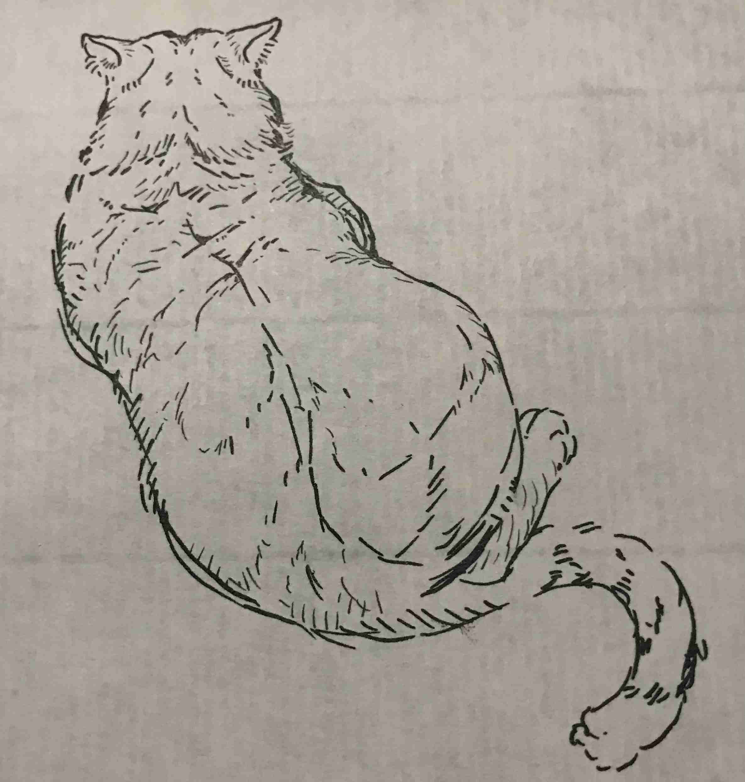 アナログで絵を描いてる人