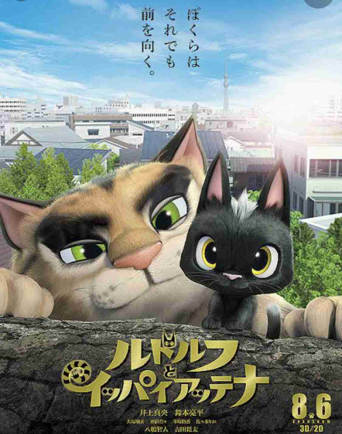 目力の強い動物たち