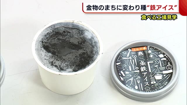 鉄粉振りかけた「燕三条鉄アイス」 大学生と企業が開発 新潟
