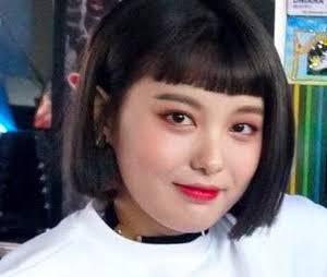 芸能人の物真似をしている芸能人の画像が集まるトピ