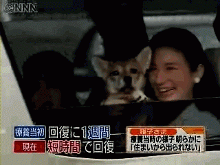 メンタルが弱い原因