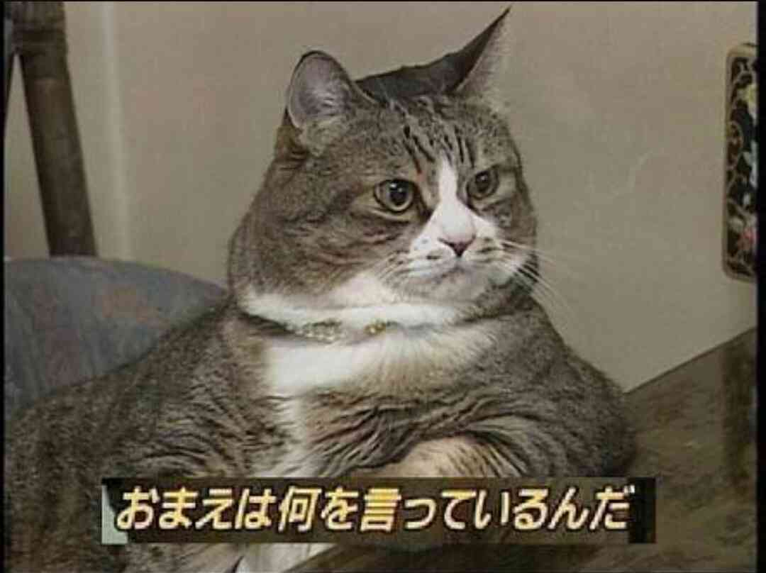 急募!煽り画像募集