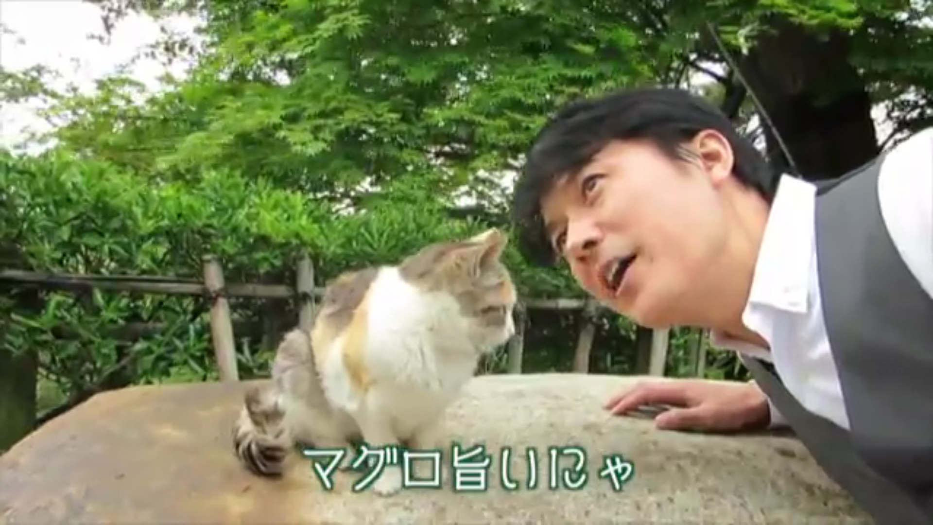 福山雅治、2匹の保護猫と暮らして3年。猫たちから学ぶこととは？