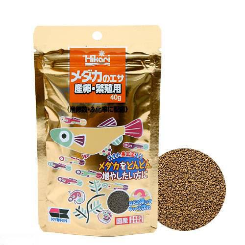 メダカ飼育してる方お話しませんか?