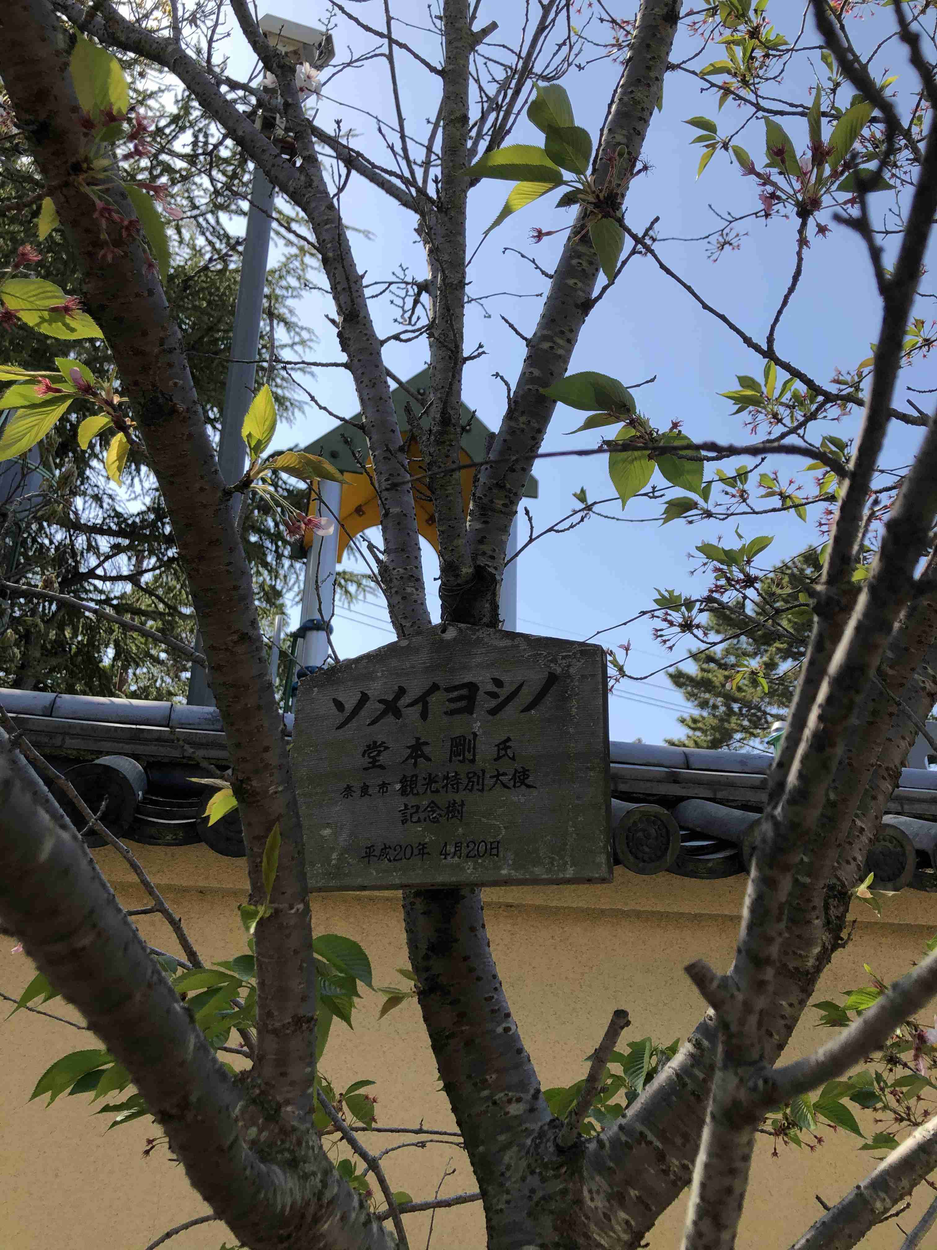 堂本剛のドラマを語りたいpart4