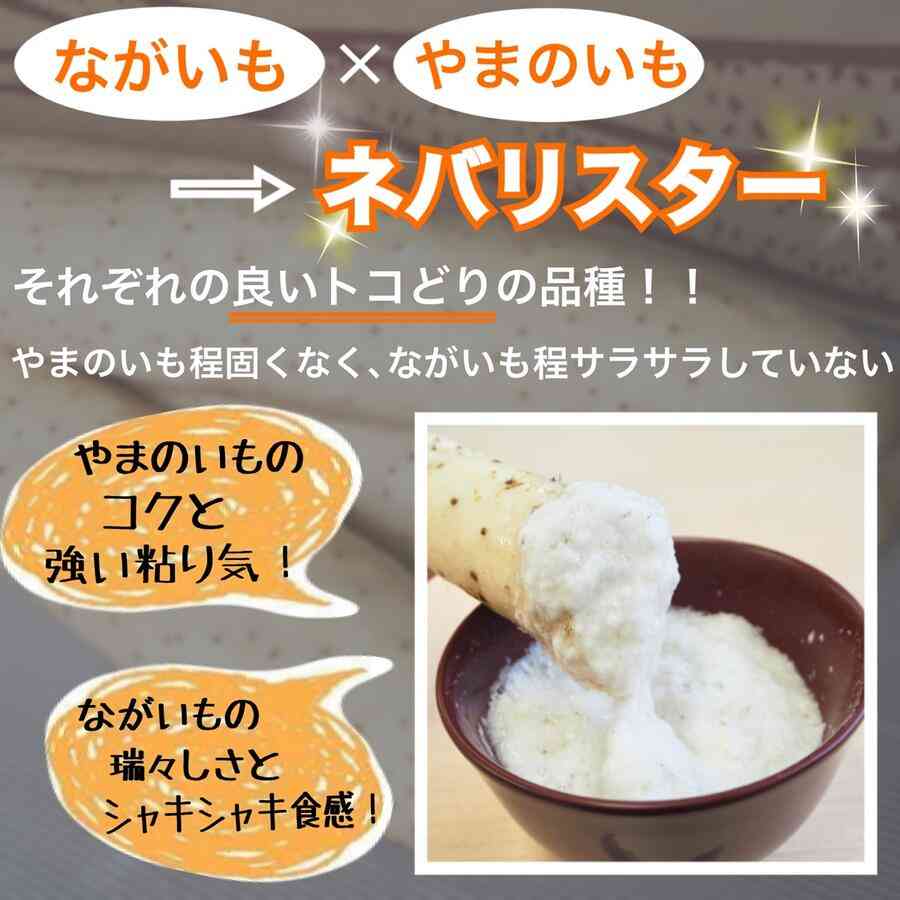 ご飯のお供