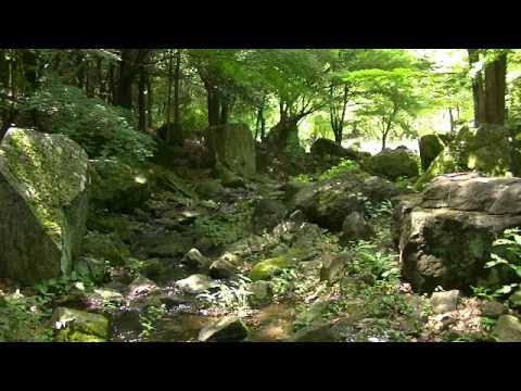 血液型【プレイリスト】あるある　B型は流行りの曲ばかり、AB型は懐メロソング！