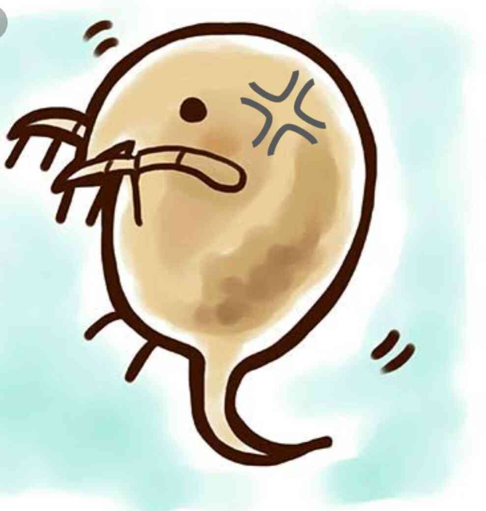 退学に…猛スピードで運転の18歳、同乗の生徒2人死なせる　停学や校則違反も…すでに免許の再取得を希望