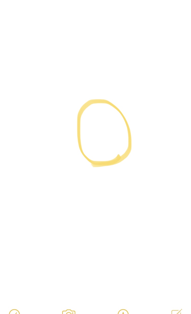 目を閉じて○を描いて線が上手く繋がったら願いが叶うトピ