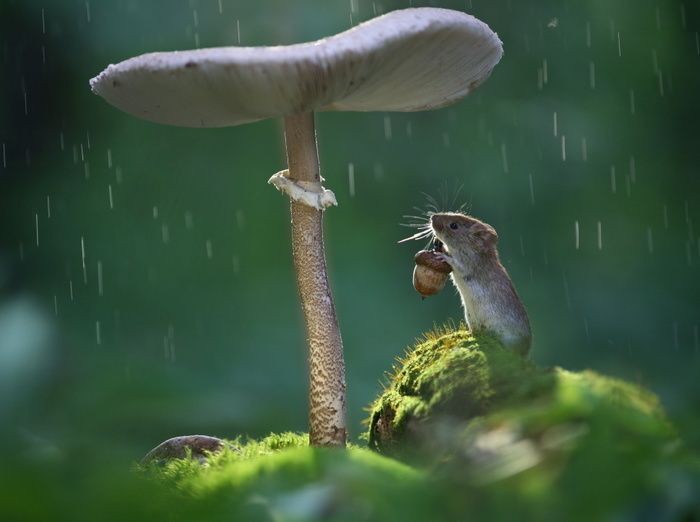 あなたの今の心の天気は何ですか？