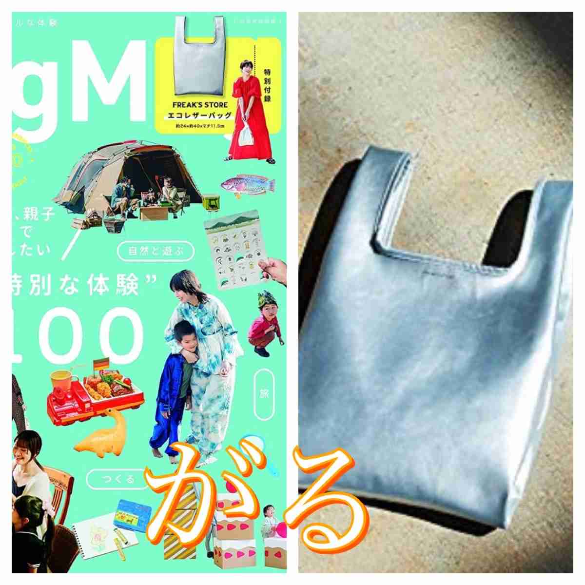 【定期トピ】雑誌付録5・6月号