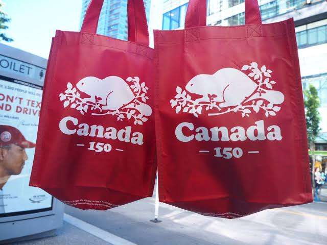 カナダを語りたい🇨🇦