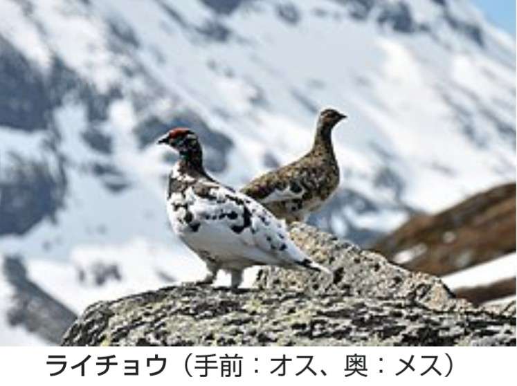 ワクチン予約わずか5分で終了…市民は知らずに電話かけ続け苦情殺到、100人超が抗議で来庁