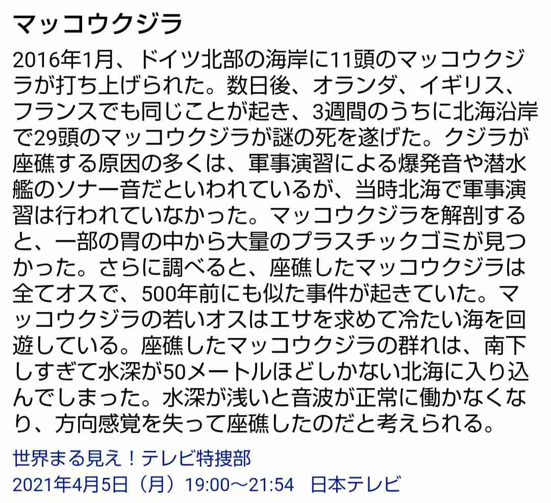 なぜ? イルカ9頭が海岸に打ち上げ 地震との因果関係なし 静岡県