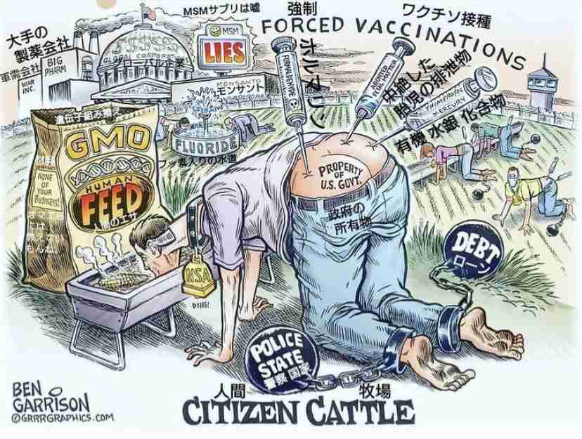 Twitter、「クラブハウス」買収で一時交渉 米報道