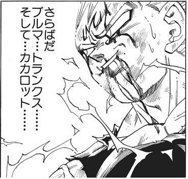 別れ話、なんて伝えた?