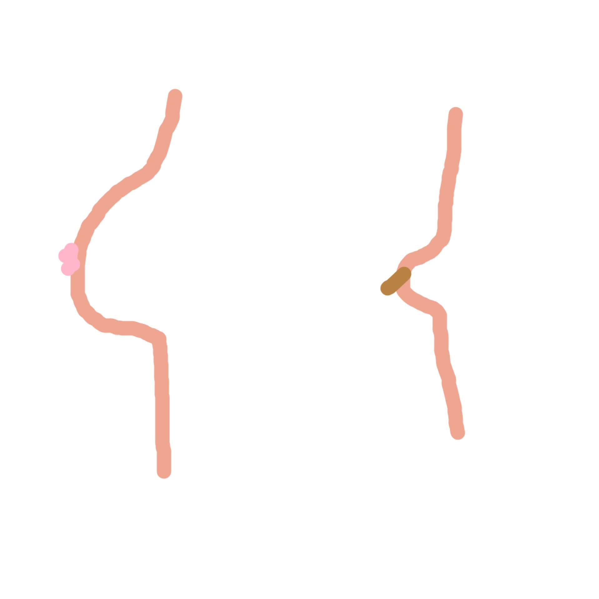 母乳育児後の胸