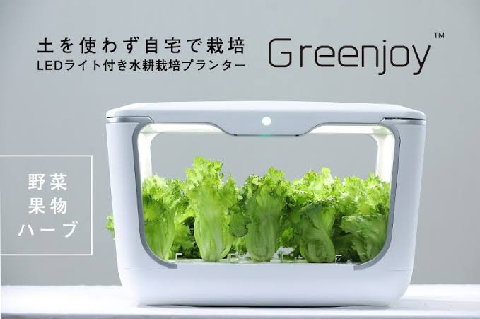 手塩にかけて“雑草”を育てる時代!? 「雑草栽培セット」が1カ月半で3000個を販売…魅力を聞いた