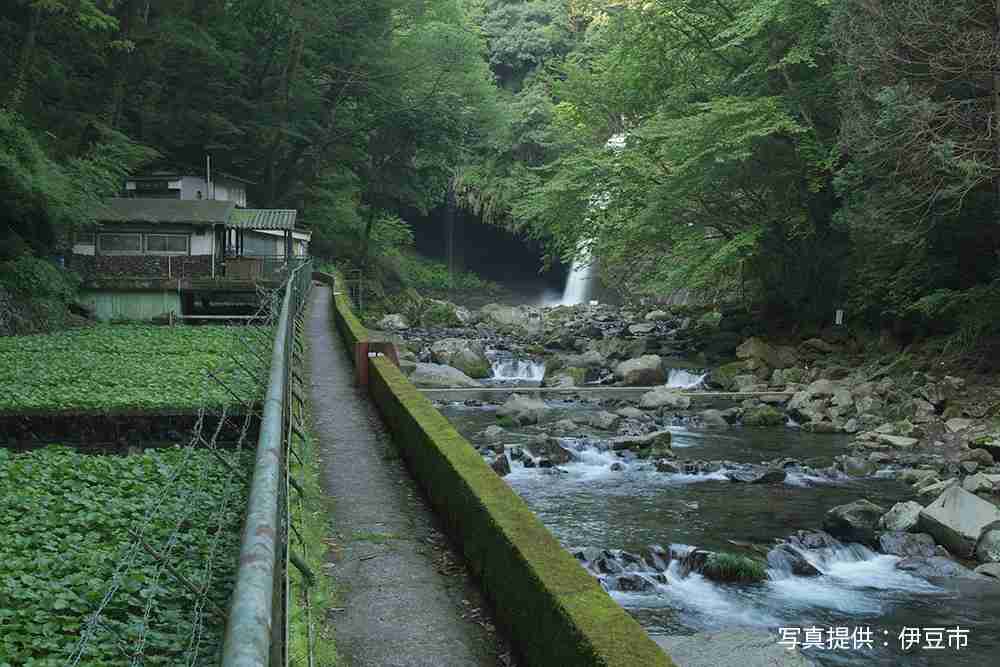 日本の3大絶景地はどこでしたか