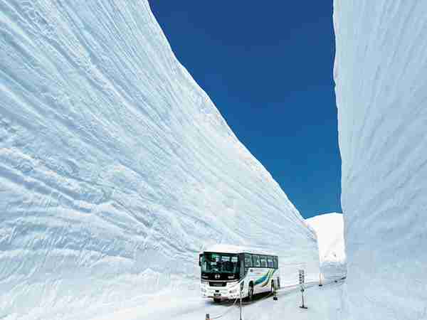 日本の3大絶景地はどこでしたか