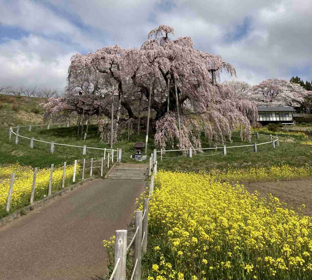 日本の3大絶景地はどこでしたか