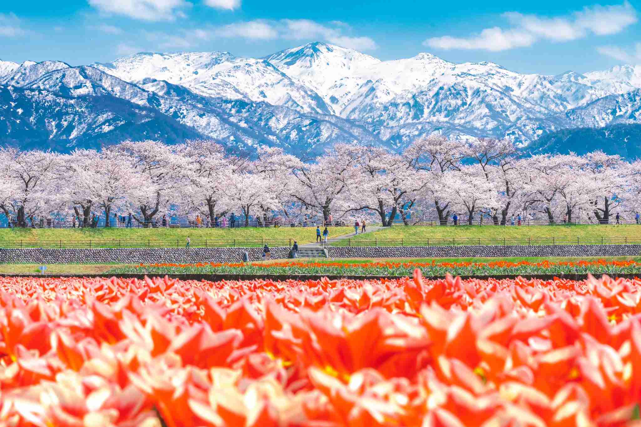 日本の3大絶景地はどこでしたか