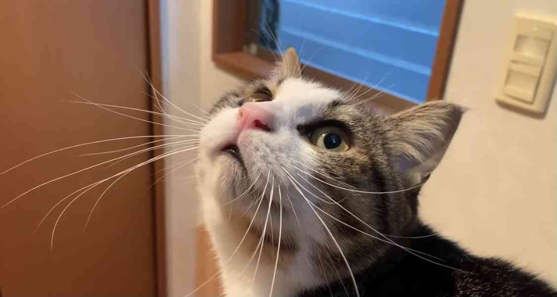 やってるの多分自分だけだろうなと思うマイナーな事