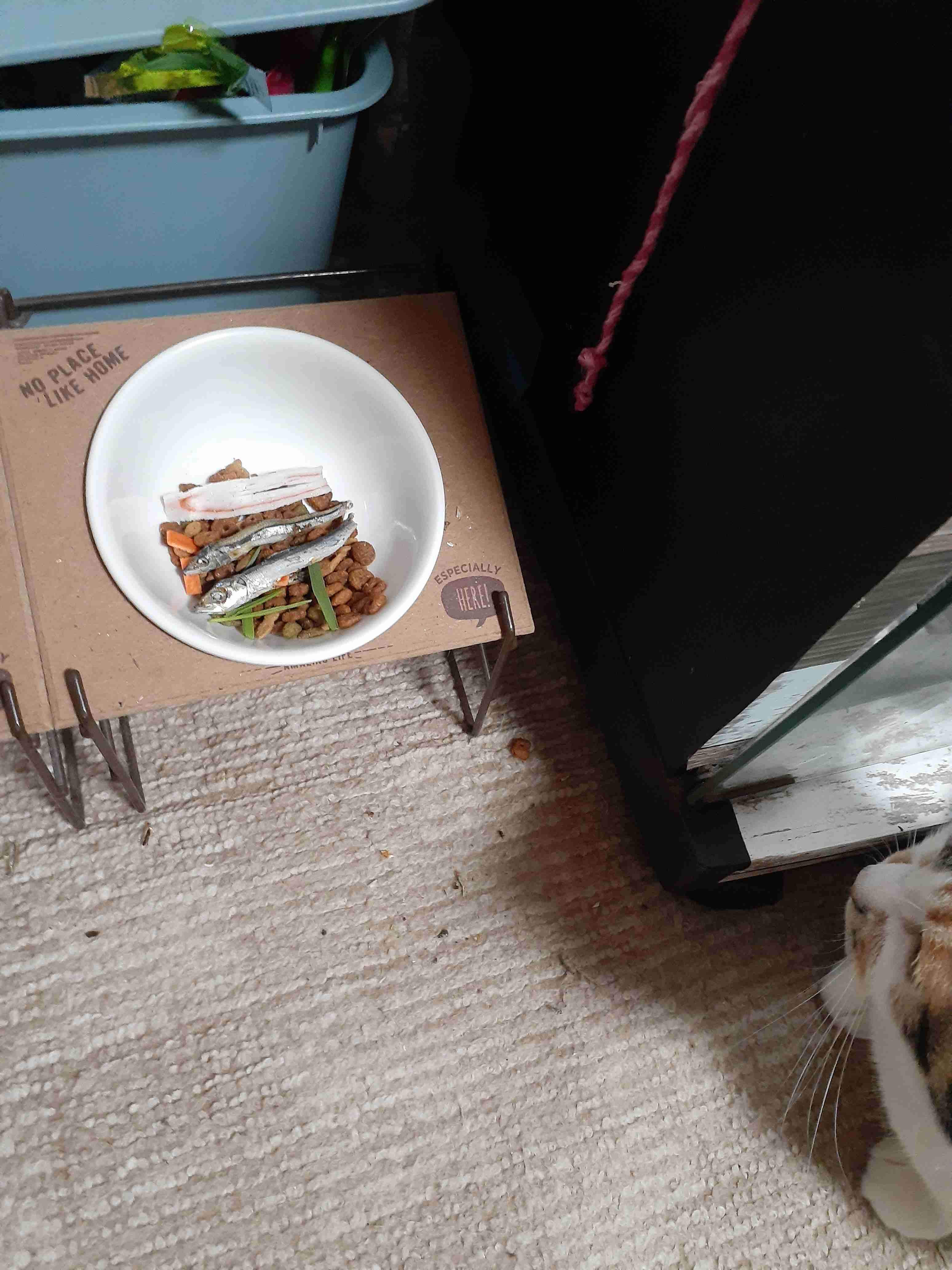 今食べてるお菓子を晒そう