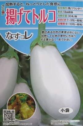 【4月】家庭菜園トピ【野菜編】