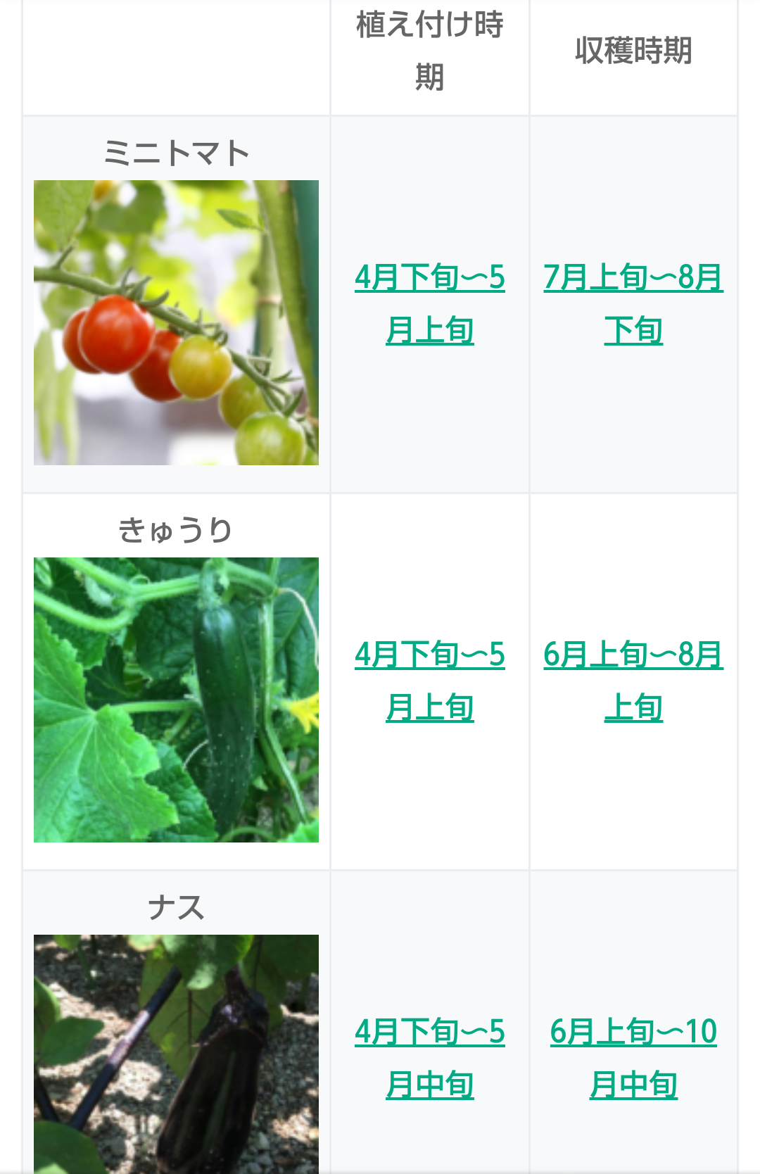 【4月】家庭菜園トピ【野菜編】