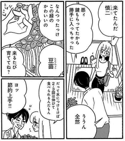【4月】家庭菜園トピ【野菜編】
