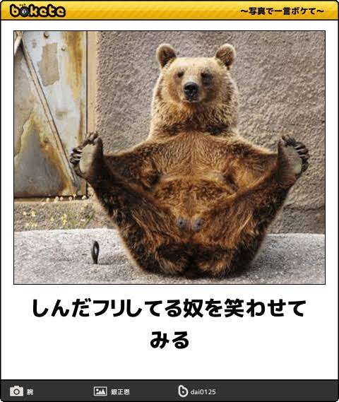 何度見ても秀逸だと思う「bokete」を貼っていくトピPart6