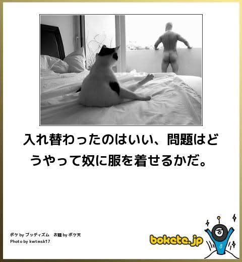 何度見ても秀逸だと思う「bokete」を貼っていくトピPart6