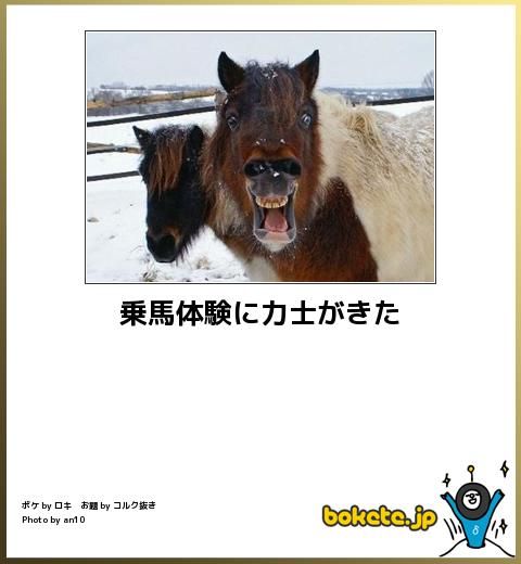 何度見ても秀逸だと思う「bokete」を貼っていくトピPart6
