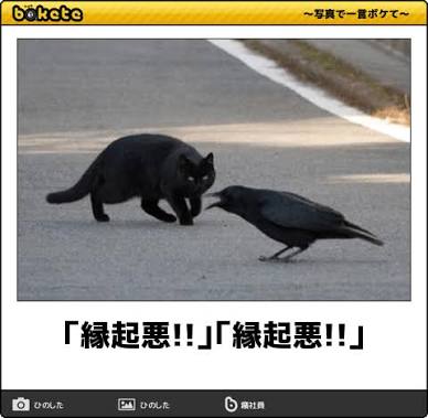 何度見ても秀逸だと思う「bokete」を貼っていくトピPart6