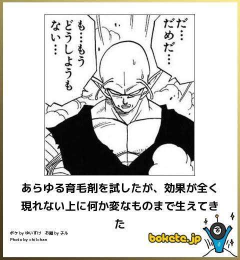 何度見ても秀逸だと思う「bokete」を貼っていくトピPart6