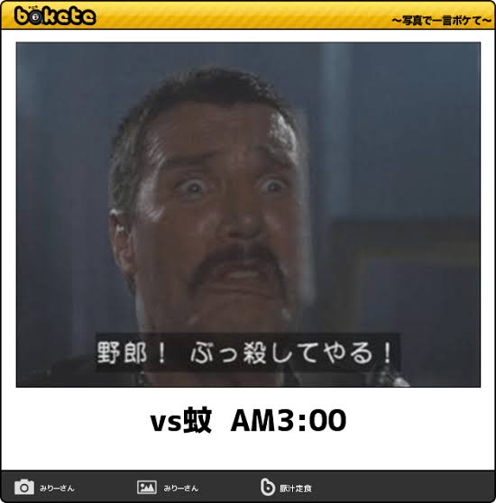 何度見ても秀逸だと思う「bokete」を貼っていくトピPart6