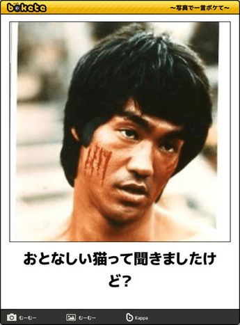 何度見ても秀逸だと思う「bokete」を貼っていくトピPart6
