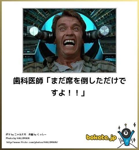 何度見ても秀逸だと思う「bokete」を貼っていくトピPart6