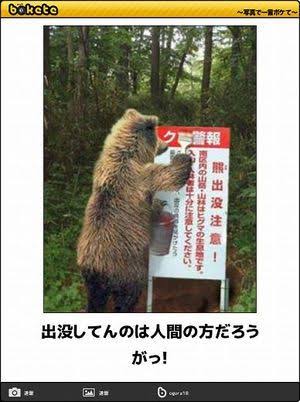 何度見ても秀逸だと思う「bokete」を貼っていくトピPart6