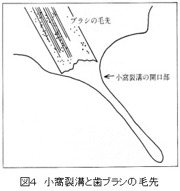 子どものおやつのタイミング、決まってますか？