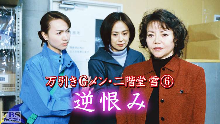 万引きGメンがバッグを…元勤務店で万引き